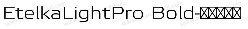 EtelkaLightPro Bold字体转换